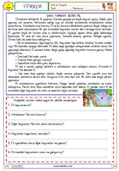2. Sınıf Türkçe Okuma ve Anlama Etkinliği ( Şaka Yapmayı Seven Fil )
